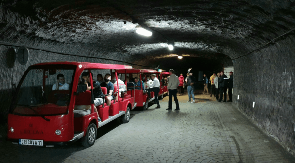 Wine Tasting in Cricova: Best Tours and What to Expect