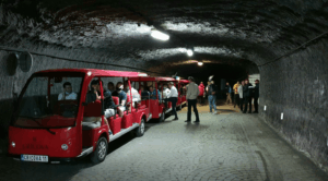 Wine Tasting in Cricova: Best Tours and What to Expect