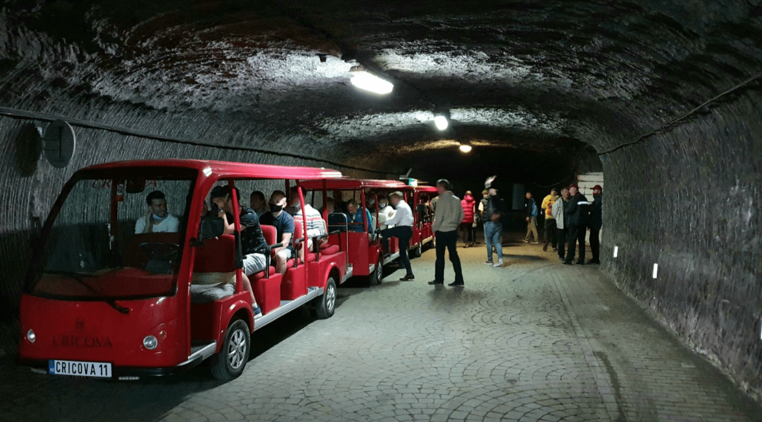 Wine Tasting in Cricova: Best Tours and What to Expect